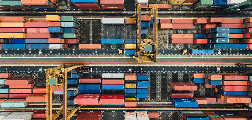 cargo surveys